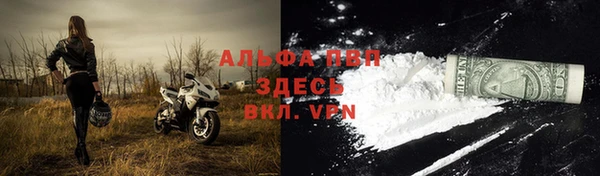 спиды Богородицк