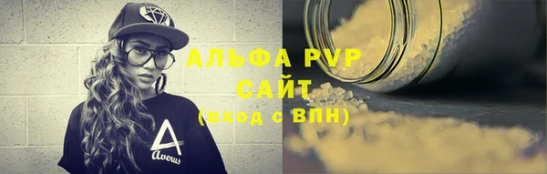 стафф Осинники