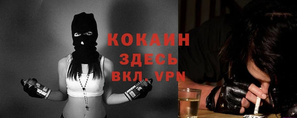 apvp Бородино