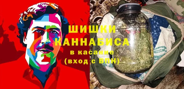 apvp Бородино