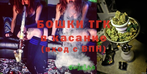 спиды Богородицк