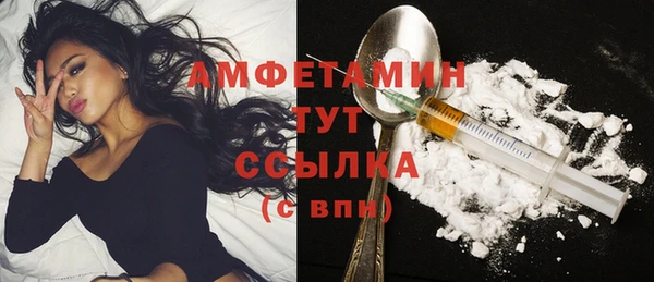 спиды Богородицк