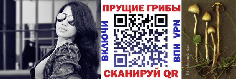 Псилоцибиновые грибы ЛСД  Мещовск 